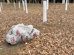 -长春世界雕塑园冰雪艺术天地