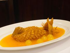 松鼠桂鱼-福1088