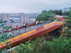 -福道
