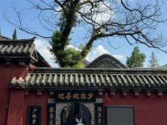 -少林寺欢喜地素斋馆