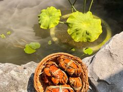 -蟹村草堂·苏式园林人文农家·大闸蟹