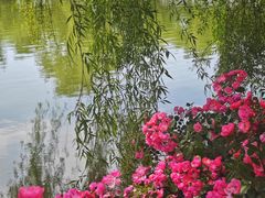 -J Create城市露营咖啡·简餐·宠物(上海动物园店)