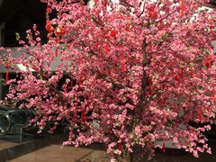 -亮马河饭店翠雅咖啡厅