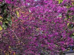 -福建鲤鱼洲酒店