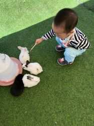 -萌宠亲子动物乐园(槐房万达店)