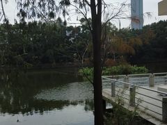 -人民公园(罗湖区)