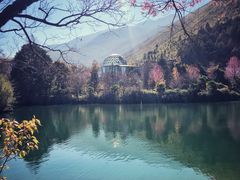 -蝴蝶泉公园
