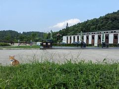 -枫露马术学院(藏书校区)