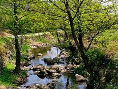 -东天目山风景区