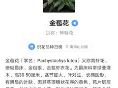 -南岗山公园