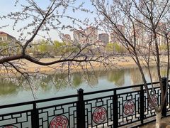 -桃花堤公园