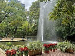-九龙公园
