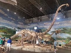-自贡恐龙博物馆