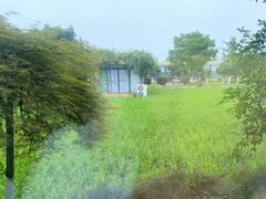 -洪湖家庭农场·团建·露营·会议