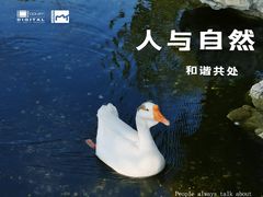 -龙华寺