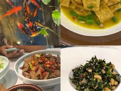 -洞庭家宴·头牌甲鱼(广渠门店)
