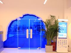 -Blue Concept Cafe&Farm·關於藍