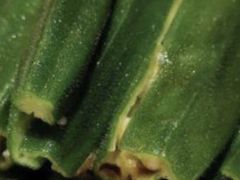 -国力仁和川菜(李家村店)