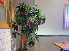 -花悦豆香