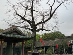 -南海神庙