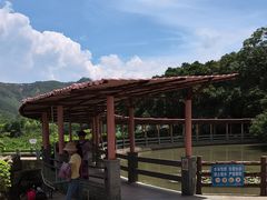 -金龙洞地下河