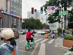 -二沙岛艺术公园