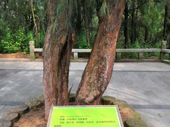 -谷文昌纪念馆