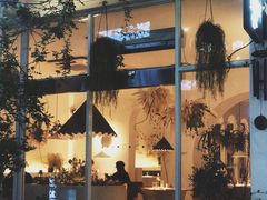 -春树下·树屋花房西餐厅(罍街AS1980店)