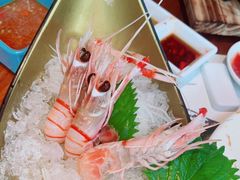 -Mr·Fish鱼鲜生海鲜放题(银泰in99店)