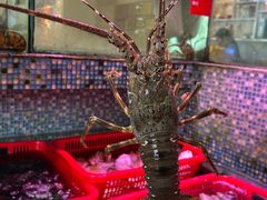 -巽寮印象美食部落餐厅·海鲜·地方特色菜(惠州体验店)