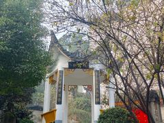 -泸州老窖景区
