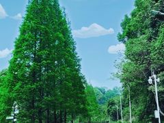 -酒仙湖景区