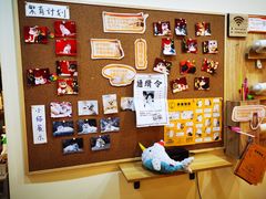 -滚猫咖啡·猫咖·猫友好撸猫(未来城店)