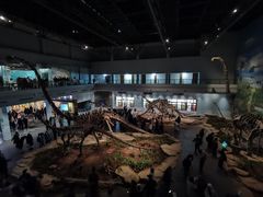 -自贡恐龙博物馆