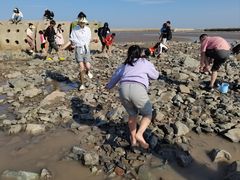 -南汇嘴观海公园