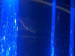 -碧涛阁·泡泡海洋·汤泉洗浴(王府花园店)