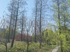 -东钱湖旅游度假区