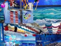 -多彩贵州城极地海洋世界