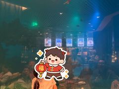 -海棠湾洲际-涛·海底餐厅·美人鱼·自助餐·海底隧道