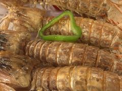 -万宝海鲜舫(劳动公园店)