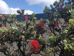 -夏威夷火山国家公园