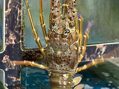 -众味海鲜大排档·活海鲜·潮汕味(南澳店)