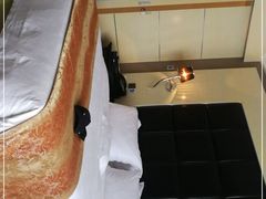 -圣雷克大酒店