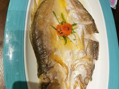 花雕醉黄鱼-寻宝记绍兴菜(鲁迅路店)