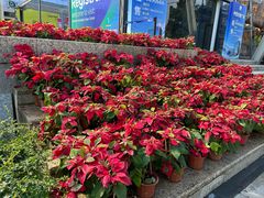 -南丰汇(新港东路店)