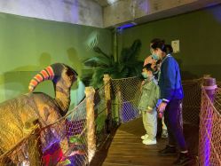 -恐龙探索乐园(磁器口店)