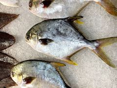 -AEON超市(永旺梦乐城泰达店)