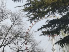 -北京石景山游乐园
