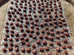 -众神白水涧景区