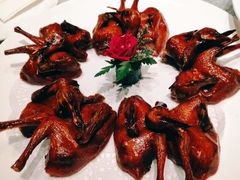 红烧乳鸽-金满楼(天河中路店)